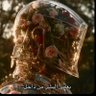 قيسي!! profil fotoğrafı