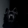 JIRIGEN MERAH's profile picture