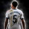 Steve Bod's profile picture