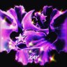 Profilbild von xay