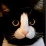 좃냥이 profil fotoğrafı