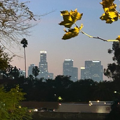 Jr's profile picture