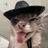 stellux's profile picture