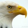 Shuja Pk's profile picture