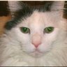 Kristy Sweeten's profile picture