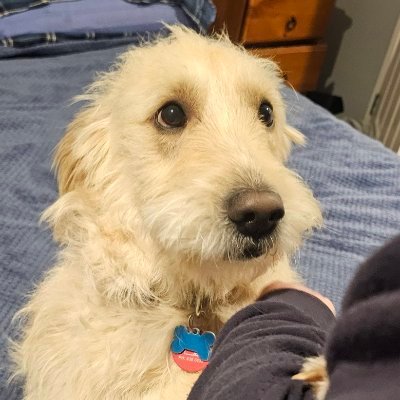 Artwbao's profile picture