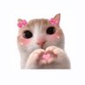Beyewoi's profile picture