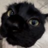 Profilbild von kAmys