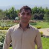 Profilbild von Ali Mirzaei