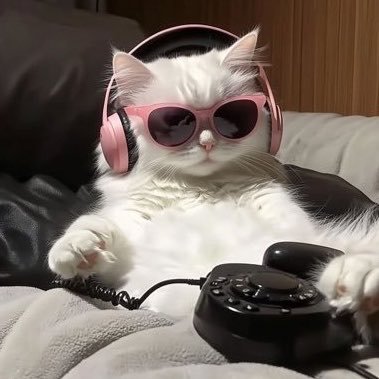 lillymumu's profile picture