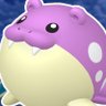 ToastMunchie 🩷💛🩵's profile picture