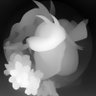 Profilbild von MustyMeat