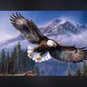 gokhan ozer 🦅 profil fotoğrafı
