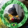 🇧🇷 Cristina B 🇧🇷(2ª conta)🟩🟨🟦 profil fotoğrafı