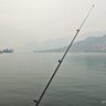 Schnakker 的头像