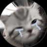 yuki ⋆꙳•̩̩͙❅*̩̩͙ ‧͙ profil fotoğrafı