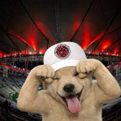 Mengãõ Fodãáâåàäoôõøôhmm's profile picture