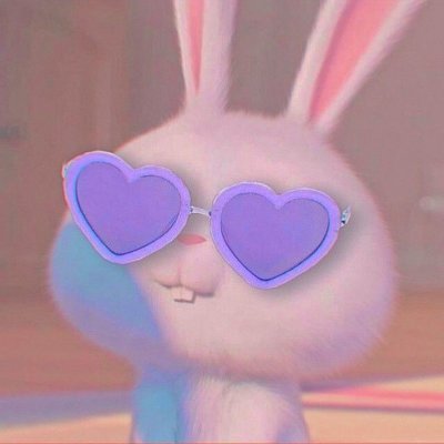 Gül💜's profile picture