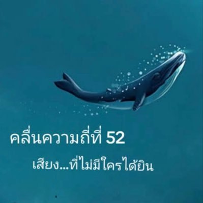 เจ้าวาฬ 52 hz's profile picture