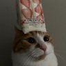 And profil fotoğrafı