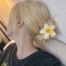 rosa 的头像