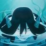amb_lzb's profile picture