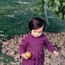 Profilbild von خارپشتِ بیخار