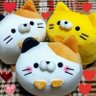 ★みけねこちゃとらみひろ★ 的头像