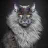 Arise's profile picture