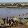 Ethio Watchman profil fotoğrafı
