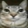 Profilbild von helli