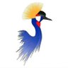 Amine 🇹🇩 أمينو's profile picture
