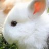 あずしろ 的头像