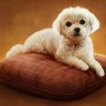 樹 profil fotoğrafı