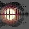 (Mazin) أبو العز profil fotoğrafı
