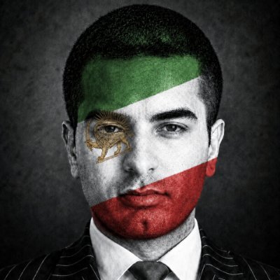 raminfallahh's profile picture