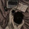 Favour Lucy profil fotoğrafı
