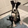 snoop's profile picture