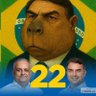 BolsoCapivara🟩🟨2️⃣2️⃣ 的头像