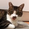ひと profil fotoğrafı