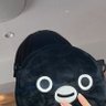 Profilbild von なつぺんぎん