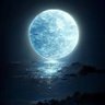 ابن شواله's profile picture
