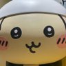 _daffodil_オレンジの太陽_'s profile picture