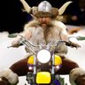 Profilbild von Ragnar the Viking