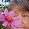 Mrs. K 🌻 profil fotoğrafı