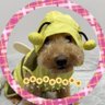 ãœããã€Powerð»'s profile picture