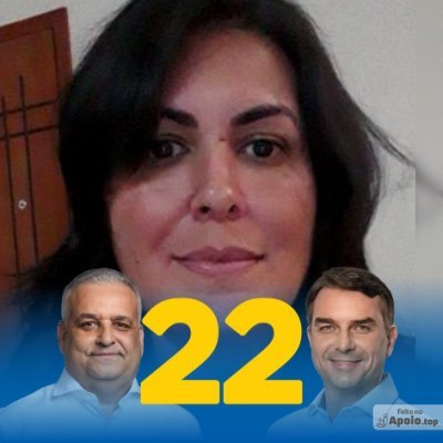 Flávia Leão's profile picture