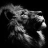 Ben's profile picture