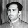 Mao Zapdog's profile picture