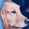 Profilbild von ROCKET